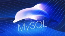 MySQL创始人：写代码比打游戏还爽，程序员应该多泡开源社区